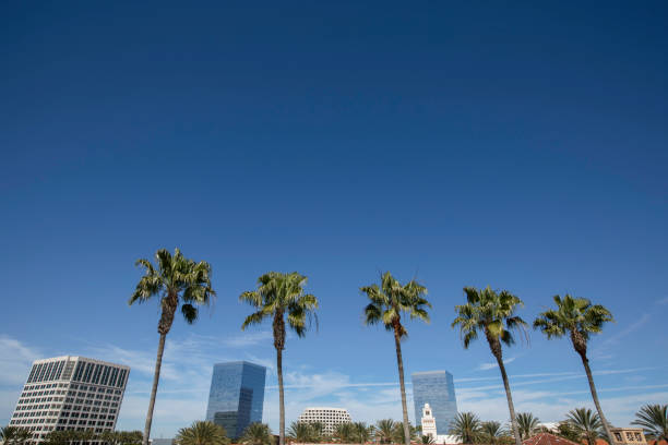 istock Irvine, California Skyline 1392874014
