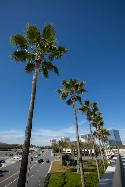 istock Irvine, California Skyline 1392874126