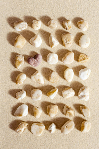 istock Pattern with different pebble sea stones and one stone heart on fine sand. Square composition from natural rocks neutral beige color. Spa minimal background 1392874297