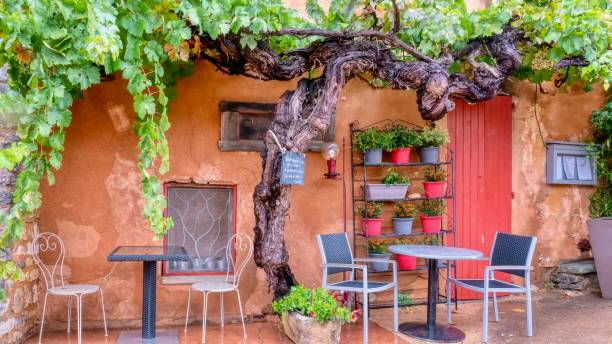 Roussillon, France - October 14, 2016: A small restaurant with an ochre exterior has two tables under an old grape vine which the sign says is 168 years old.