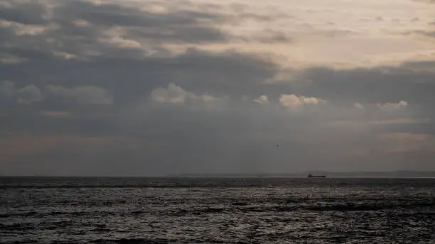 Photo of Cargo ship sailing on the horizon of Tokyo sea in Japan