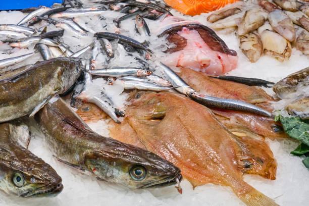istock Fresh fish for sale 1392876999