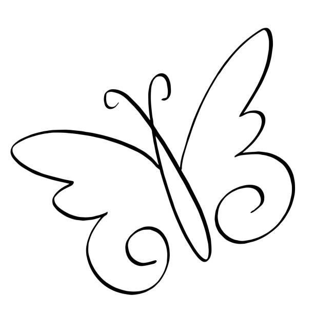 butterfly simple line art drawing vector illustration vector art illustration