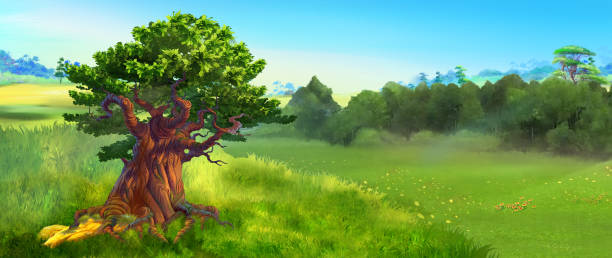 illustrations, cliparts, dessins animés et icônes de énorme chêne dans une clairière forestière 02 - glade forest oak tree tree