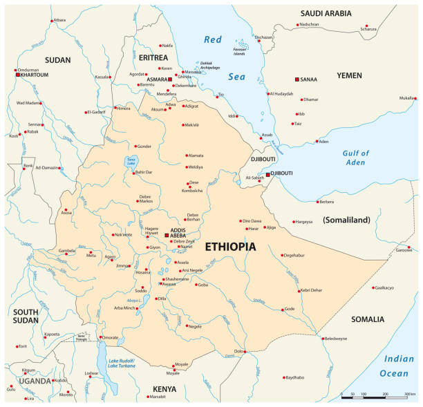 mapa wektorowa etiopia i sąsiednie kraje - state of eritrea stock illustrations