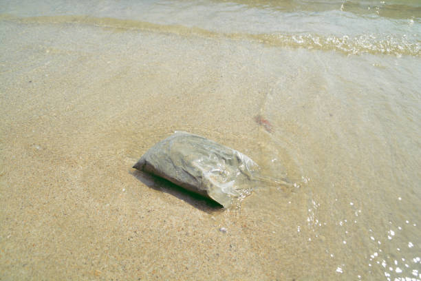 istock Full sand in plastic bag on the sea. 1392882234
