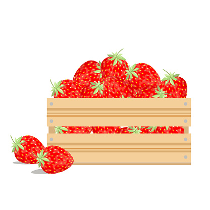 Ripe, juicy strawberry berry in a box, isolated on a white background.Vector illustration can be used in store designs, labels,textiles.