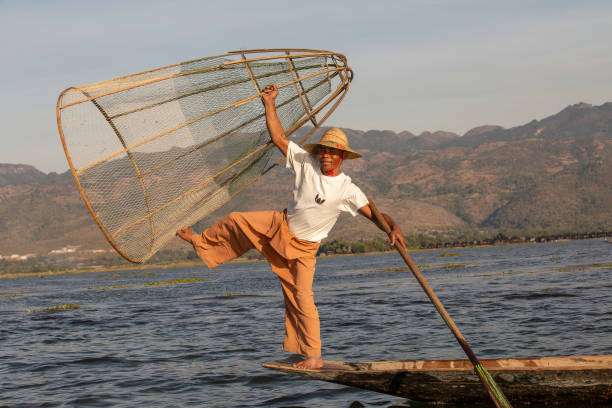 pescador birmano en barco de bambú capturando peces de manera tradicional con red hecha a mano. lago inle, myanmar, birmania - inle lake agriculture traditional culture farmer fotografías e imágenes de stock