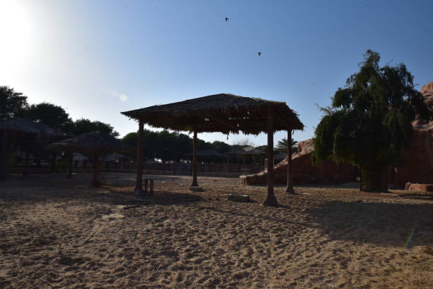 Doha Parks and Serene surroundings