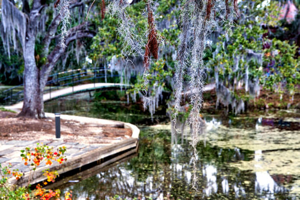 Long white bridge crossing a wetland with Cypress trees