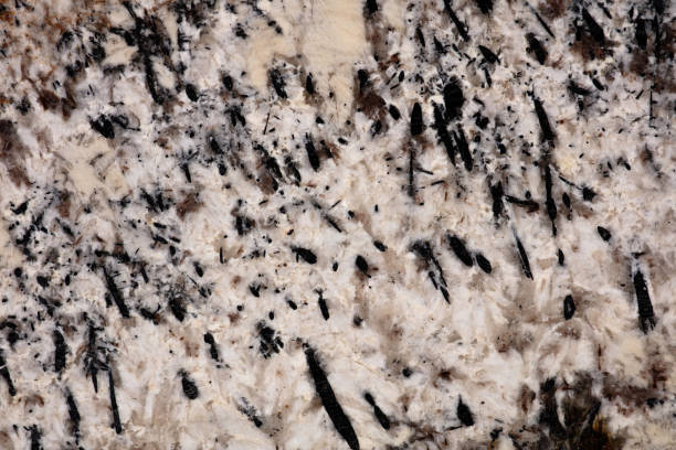 Stylish Alaska white - granite background, photo of slab texture in modern classic colors for your individual design look.