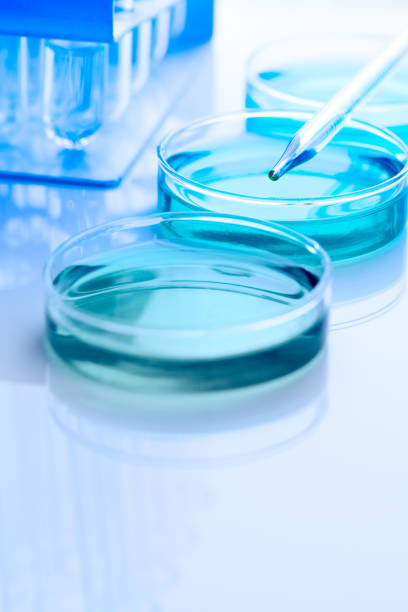 Petri dishes and test tubes with pipette