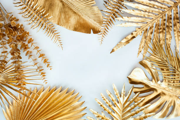 istock Fern Palm and monstera leaf on white background. 1392893133