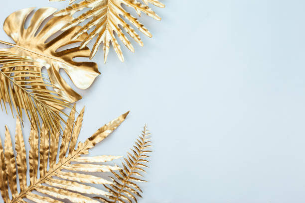 istock Fern Palm and monstera leaf on white background. 1392893134