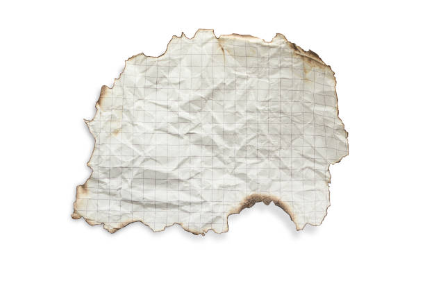 흰색 배경의 셀에 구겨진 시트 조각 - paper crumpled document letter 뉴스 사진 이미지