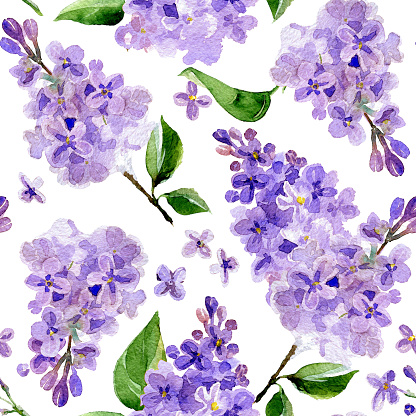 Watercolor background made up of branches of  lilac flowers, isolated on white background.