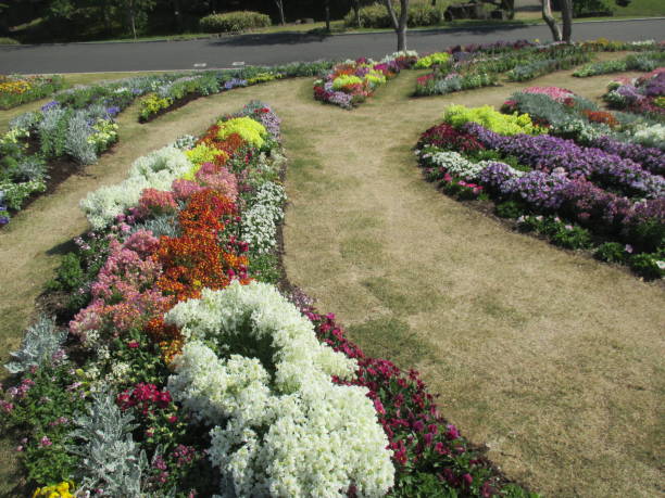 istock Spring flowerbed with many colorful flowers in full bloom 1392904319