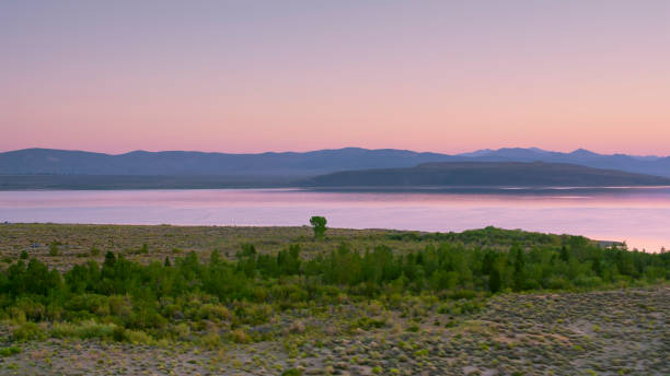 istock Mono lake coastline 1392906803