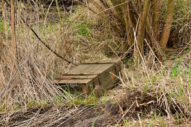 istock Wooden box for artillery shells lie on the grass. 1392908953