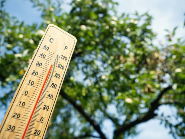 Wooden thermometer showing high temperature on sunny day. Wooden thermometer with red measuring liquid showing high temperature over 36 degrees Celsius on sunny day on background of apple tree. Concept of heat wave, warm weather, global warming, climate. fahrenheit stock pictures, royalty-free photos & images