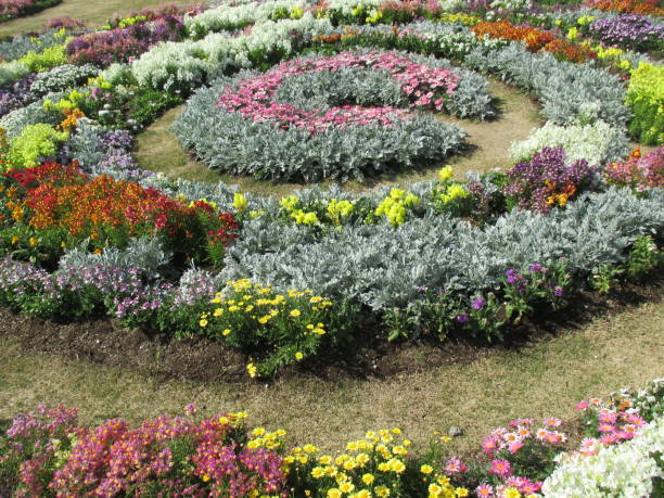 istock Spring flowerbed with many colorful flowers in full bloom 1392910229