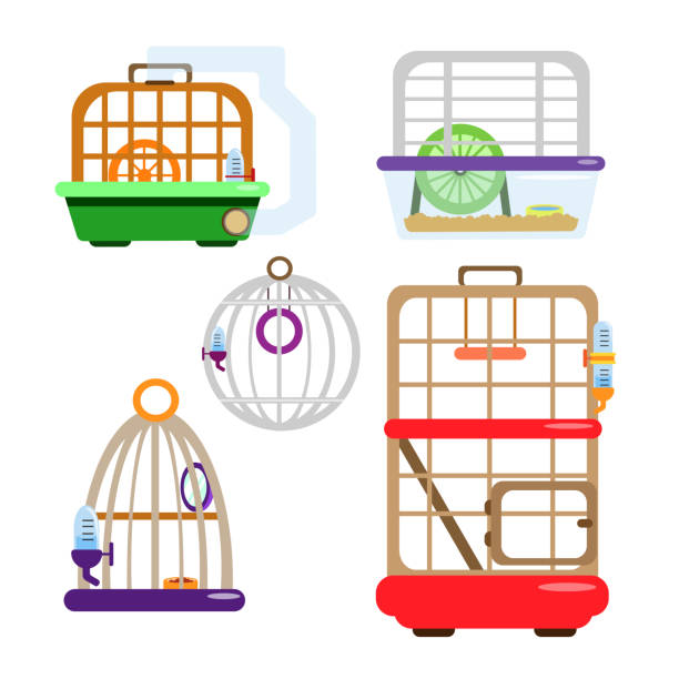 illustrations, cliparts, dessins animés et icônes de ensemble de cages colorées pour animaux dans le style dessin animé. maison pour animaux de compagnie. illustration vectorielle de fournitures pour perroquets et hamsters, marchandises pour animaleries sur fond blanc. - hamster cage birdcage isolated