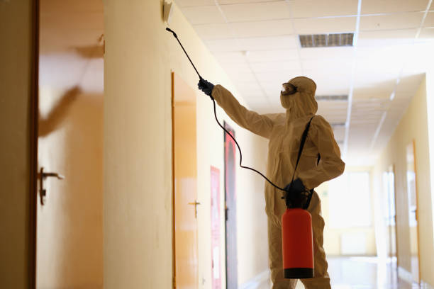 istock Specialist in protective suit disinfects premises in corridor 1392913203