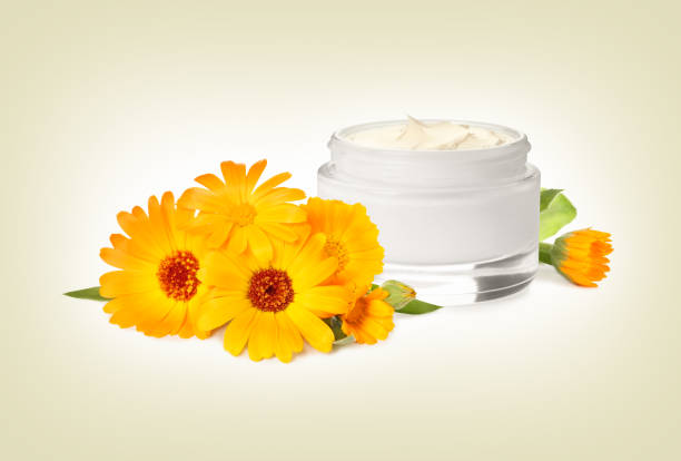 istock Body cream with calendula extract on light background. Natural based cosmetic product 1392914998