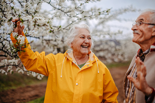 Old people enjoying in the spring walk in nature