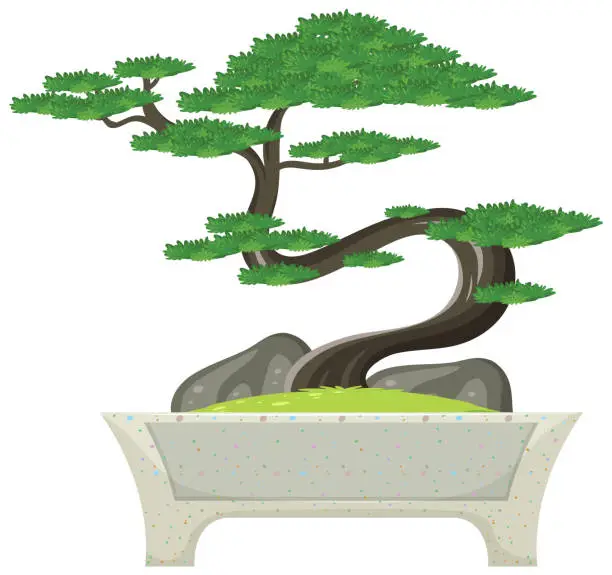 Vector illustration of Bonsai tree in pot on white background