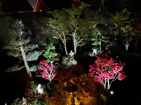 Stock photo showing an elevated view of spotlit, landscaped, ornamental Japanese-style garden featuring Japanese maples, bonsai trees and oriental stone lanterns at night.
