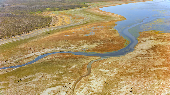 Aerial view of water hole middle of the flatland in Inyo County, California, USA.