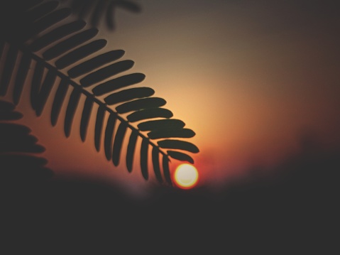 Atardecer Foto de stock y más banco de imágenes de Fondos - Fondos, Resolución 4K, Abstracto - iStock Atardecer Foto de stock y más banco de imágenes de Fondos - Fondos, Resolución 4K, Abstracto - iStock
