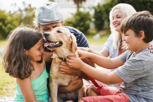 Young parents having fun with children and their pet outdoor at park in summer time - Focus on dog mouth stock photo