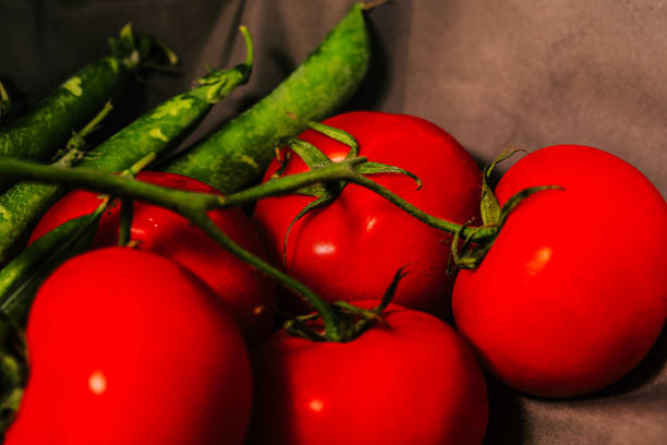food from south of France