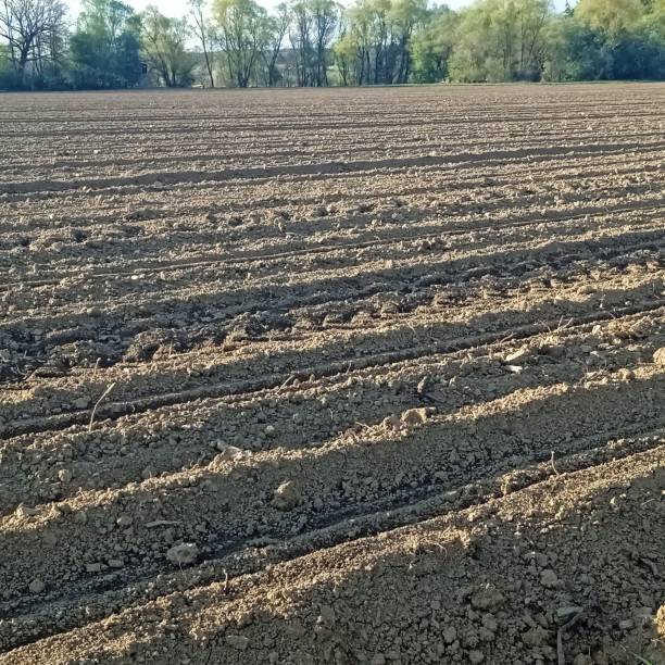 istock humus on a field in agriculture 1392937271