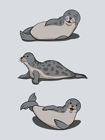 Vector illustration of cute sea seals laying around. Suitable for animal day, seal day, etc.