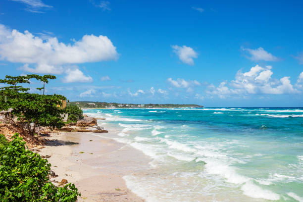 Côte caraïbe - Long Bay, Jamaïque - Photo