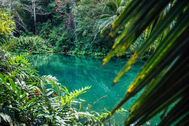 istock Caribbean jungle - Jamaica 1392945462