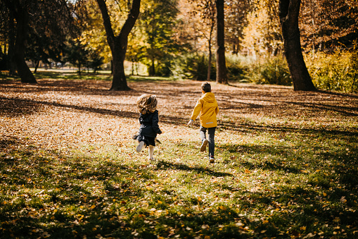 Back view of smiling boy and little girl happily running in nature on sunny autumn day