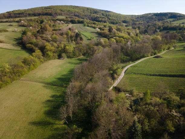 istock Drone flight over green meadows, forests, landscape, nature in April 1392954733