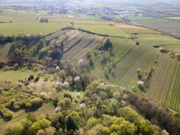istock Drone flight over green meadows, forests, landscape, nature in April 1392957516