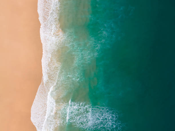 istock Aerial view beach sea 1392958559