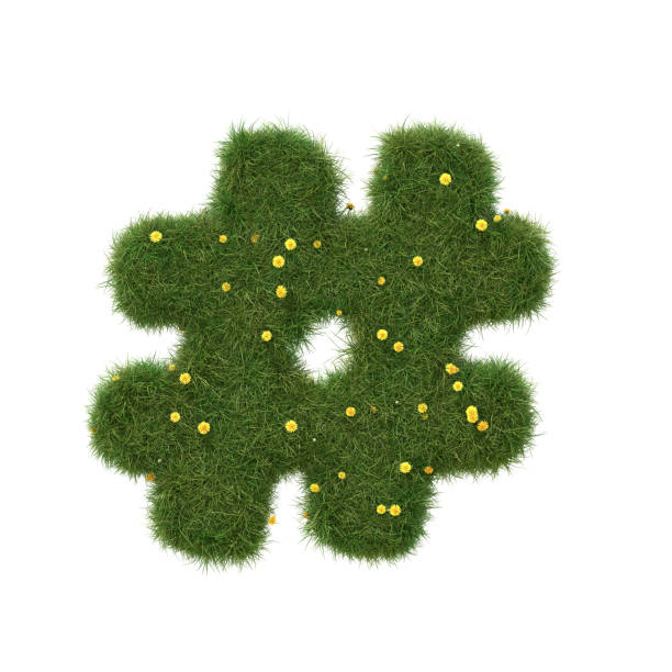 istock Realistic grass hashtag sign isolated on white background. Collection. 1392962995