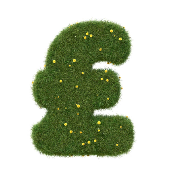 realistisches gras britisches pfund isoliert auf weißem hintergrund. sammlung. - pound symbol environment grass currency stock-fotos und bilder