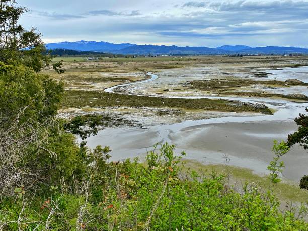 istock Images of Skagit Bay 1392963189