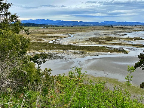 Skagit Bay at low tide offers iconic Northwest views.