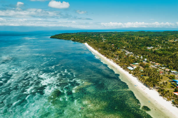 istock beautiful beaches on Siquijor island Philippines 1392965055