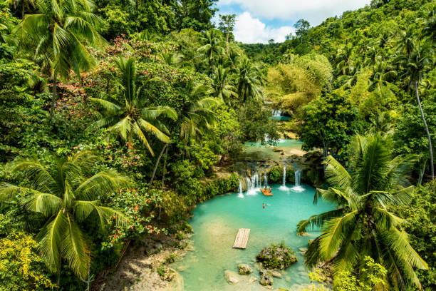 beautiful waterfalls in Siquijor, Philippines Beautiful and picturesque waterfalls
Cambugahay Falls, Siquijor, The Philippines siquijor stock pictures, royalty-free photos & images
