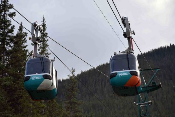 banff gondola, banff, alberta, kanada, drzewo, góry skaliste - banff gondola zdjęcia i obrazy z banku zdjęć